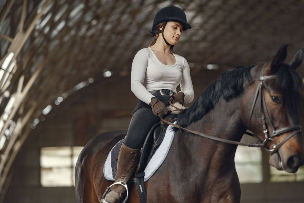 The Little Lies We Tell Ourselves When Buying Horses (Part&nbsp;1)
